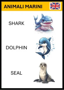 inglese prima elementare schede